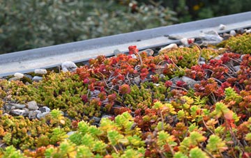 the cost of Winterley green roof installation